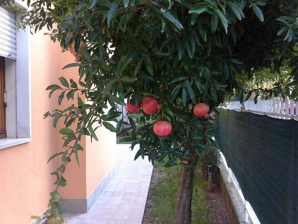 Al Sole Mestre