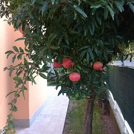 Villa Al Sole Mestre Exterior photo
